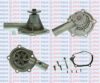 AQUAPLUS 85-6070 Water Pump